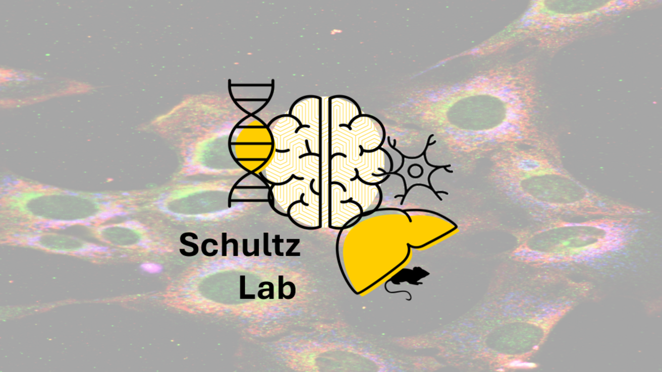 LabMark over Fluorescent Cells