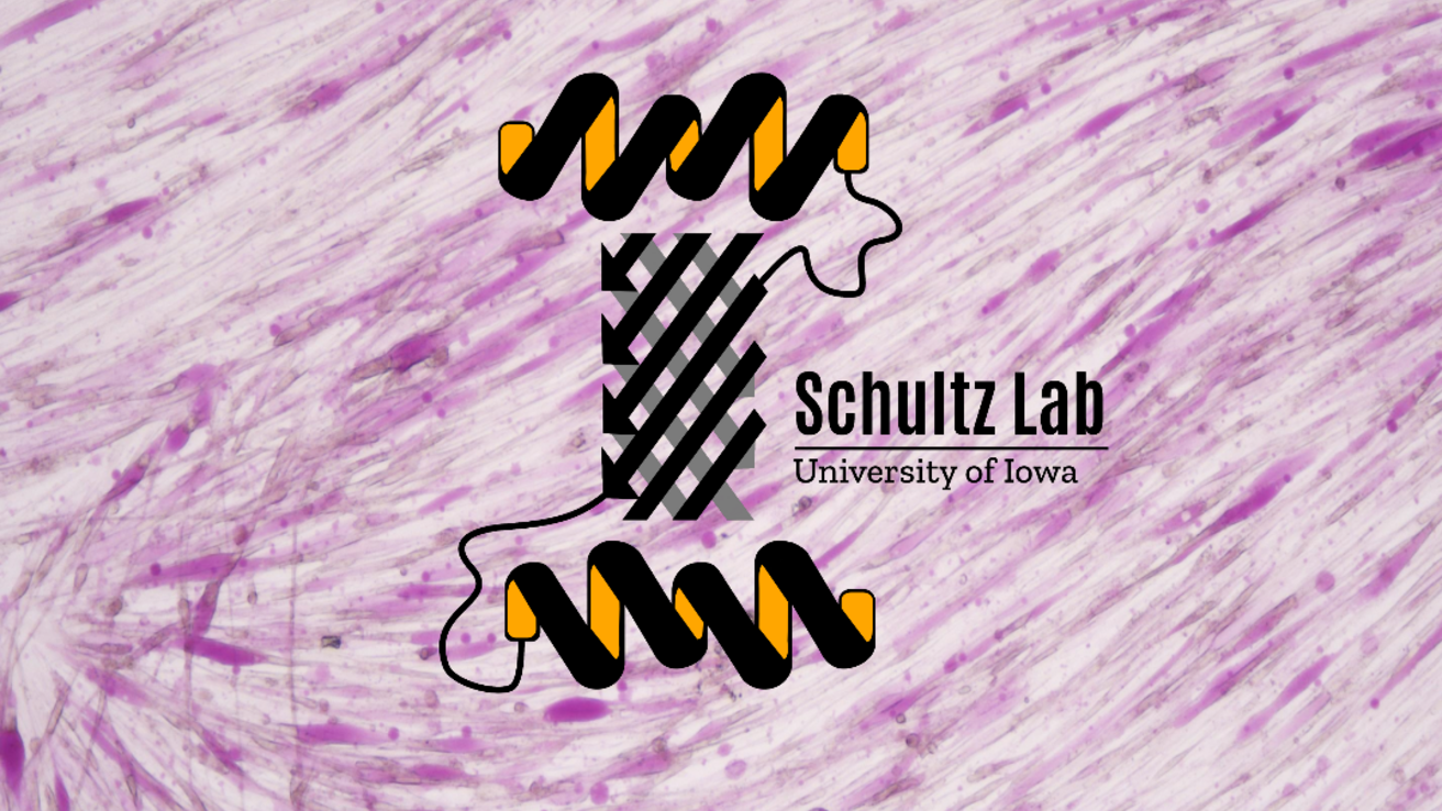 Schultz Lab Logo